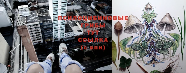 прущие крисы Аркадак
