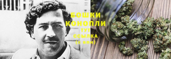 бошки Армянск